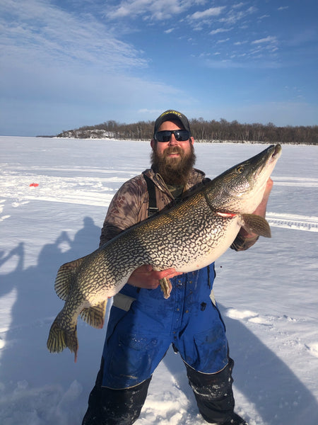 Late Ice Pike on Lake of the Woods