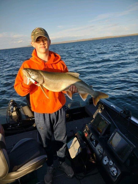 Open Water Lake Trout